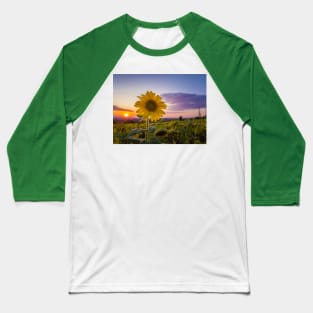 Sunflower against sunset Baseball T-Shirt